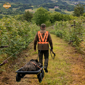 Hellomaterials Deer Drag Harness | High-Vis Game Hauler