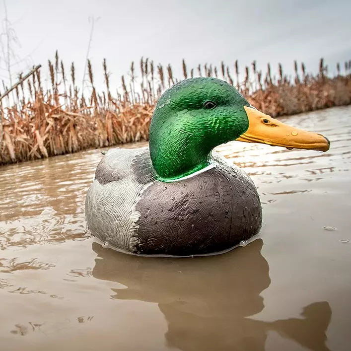Decoys